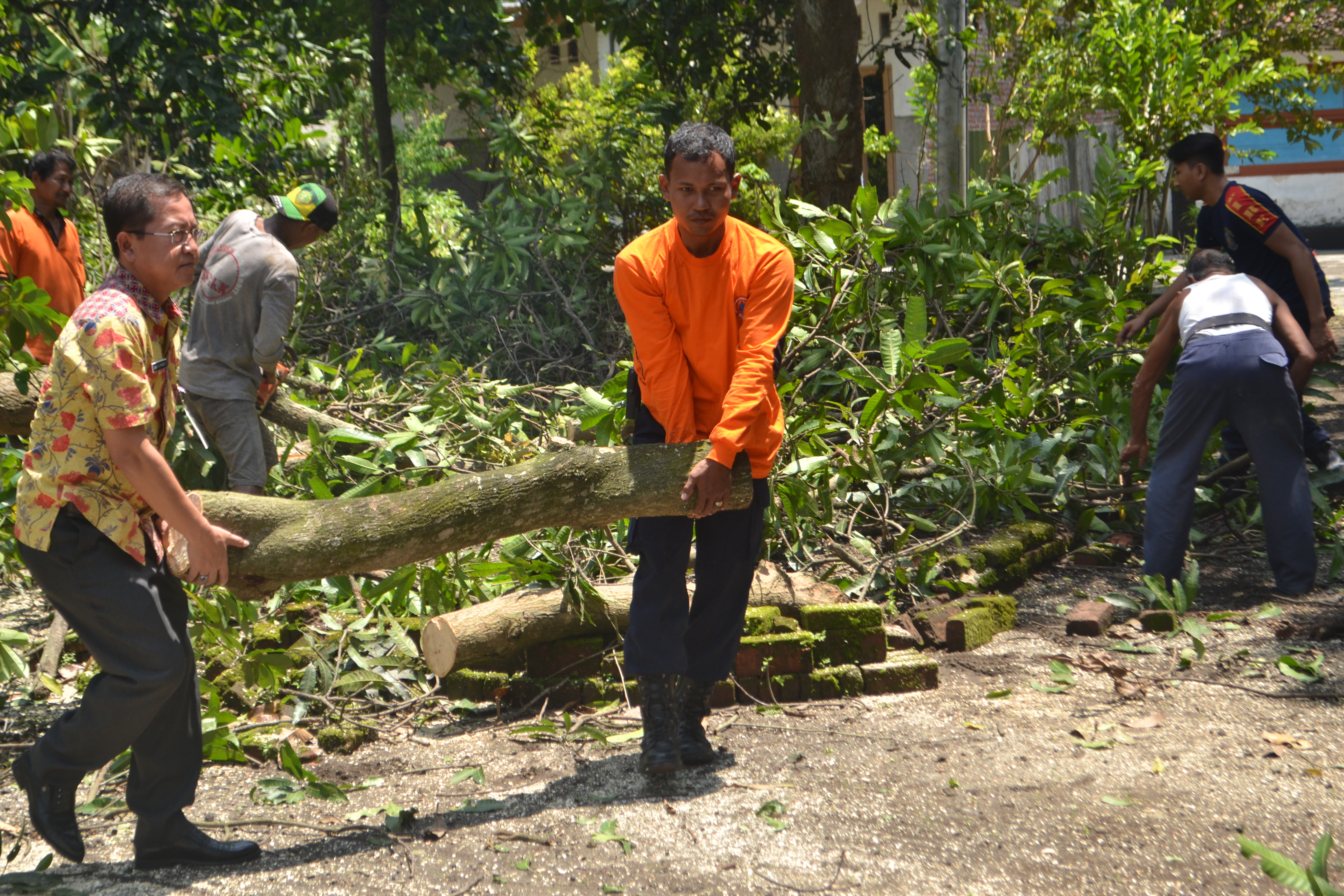 Kerja Bakti Pasca Angin Kencang Desa Tambakrejo Kec. Krembung Maret 2018