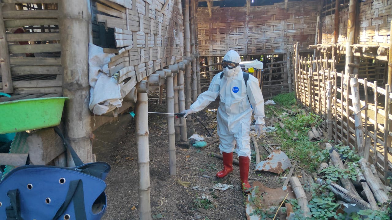 Kegiatan penyemprotan cairan desinfektan pada kandang-kandang hewan rentan Penyakit Mulut dan Kuku ( sapi, kambing, domba, kerbau ) di wilayah Kabupaten Sidoarjo