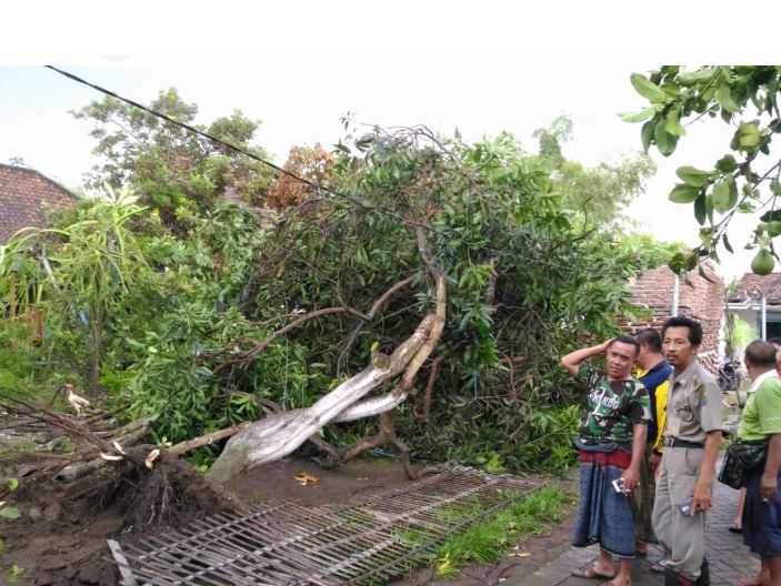 Ratusan Rumah rusak di terjang angin puting beliung 3 desa di kecamatan Candi dan Tanggulangin