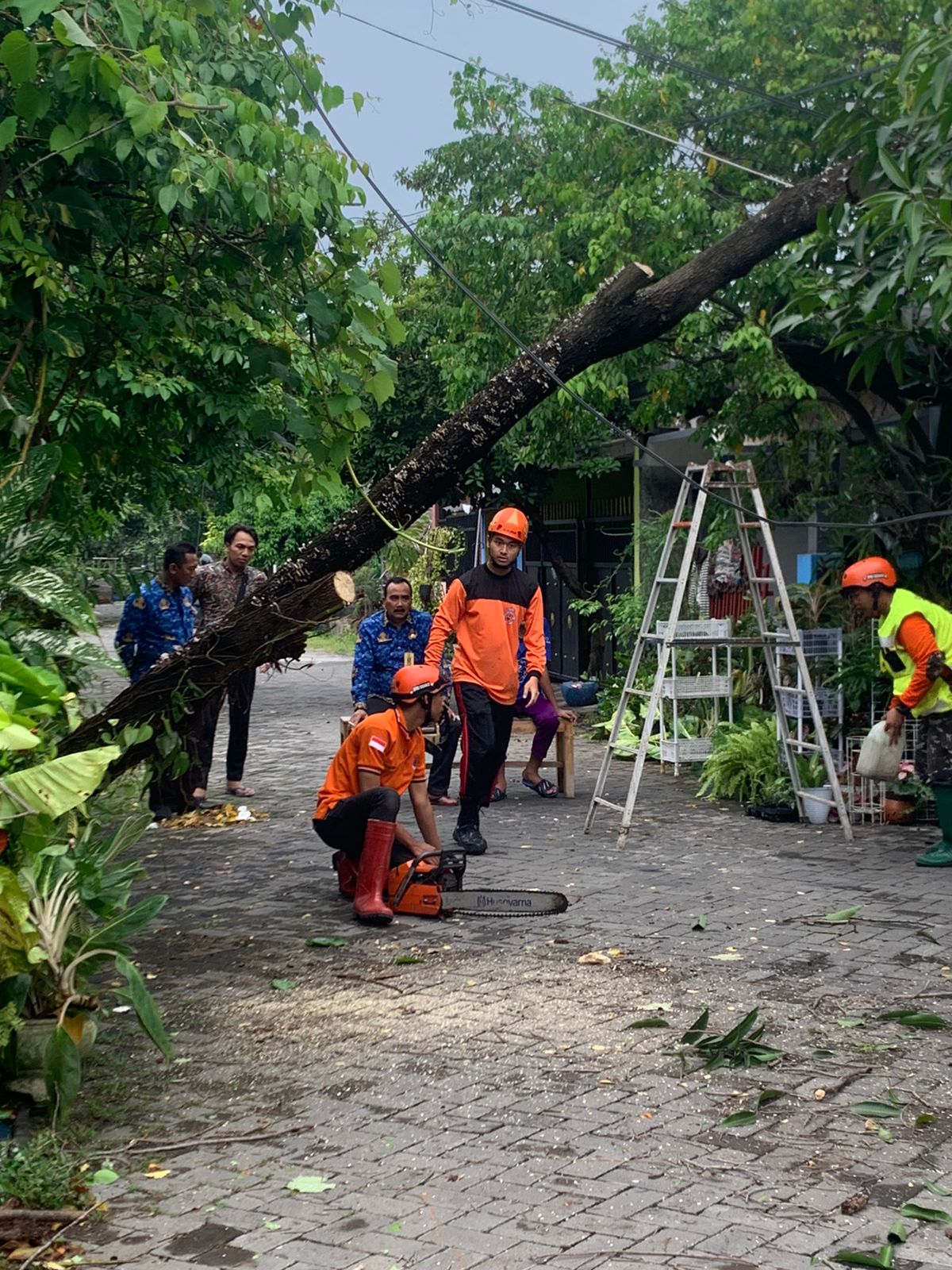 Angin Kencang Melanda Desa Kalipecabean Kecamatan Candi Kabupaen Sidoarjo