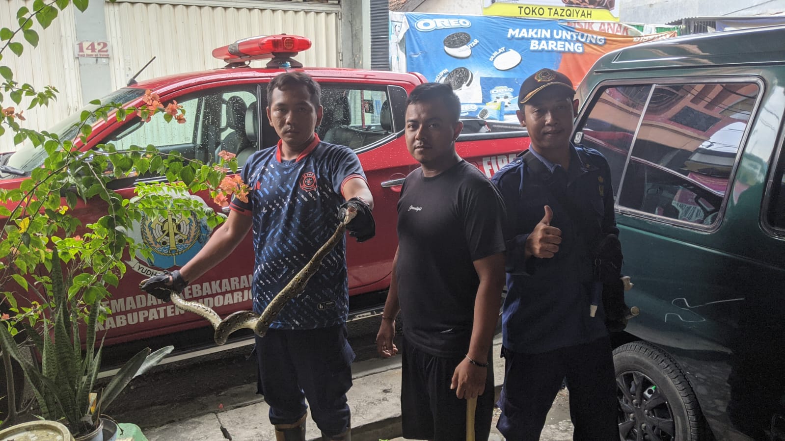 Tim Rescue BPBD Sidoarjo Melakukan Evakuasi Ular Sanca di Desa Bungurasih Kecamatan Waru