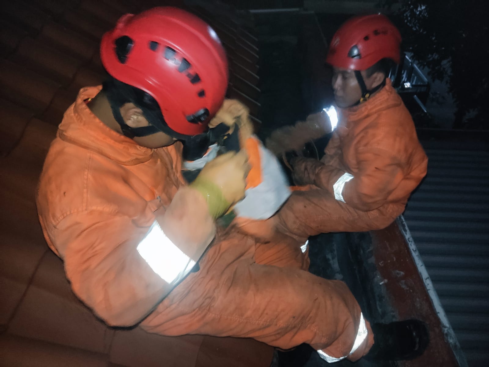 Tim Rescue BPBD Sidaorjo Melakukan Evakuasi Tawon Vespa di Perumahan Puri Surya Jaya Kecamatan Gedangan