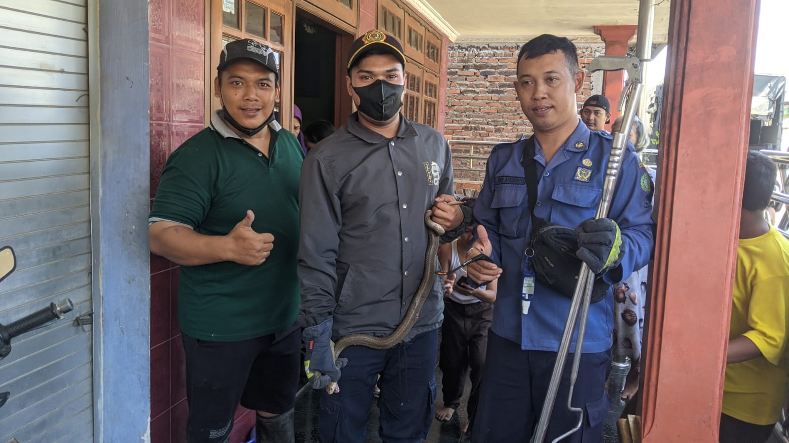 Tim Rescue BPBD Sidoarjo Melakukan Evakuasi Ular di Desa Kebonsari Kecamatan Candi