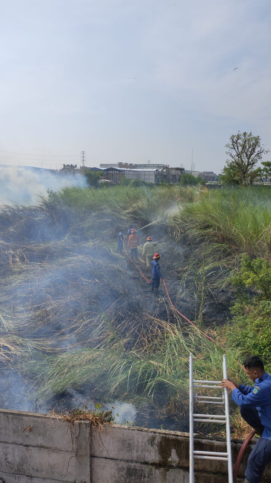 Kebakaran Lahan Kosong Di Belakang Suncity Biz Jl Raya Wunut Kecamatan Porong 6653