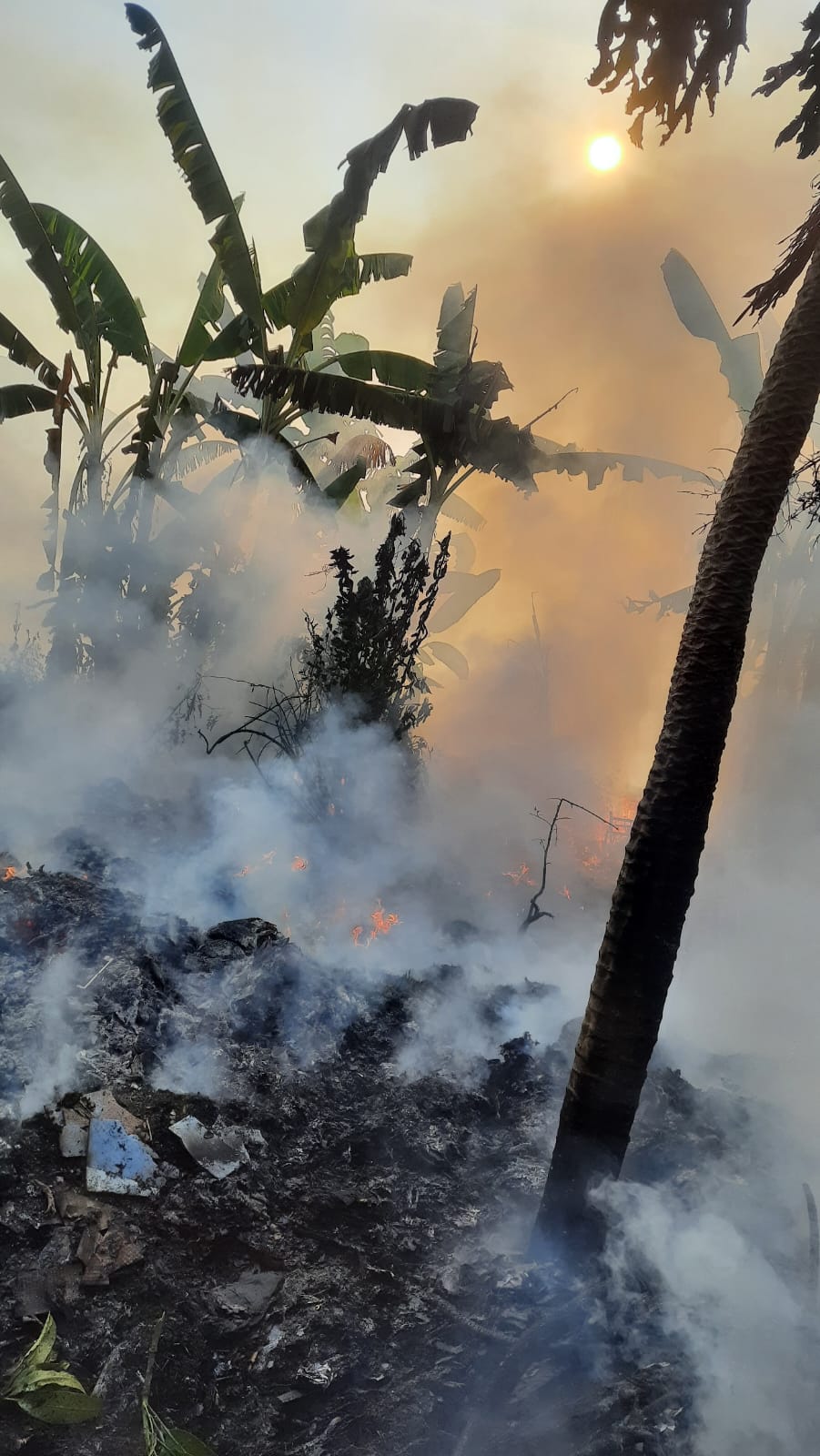 Kebakaran Lahan Kosong Di Kelurahan Sidoklumpuk Kecamatan Sidoarjo 2533