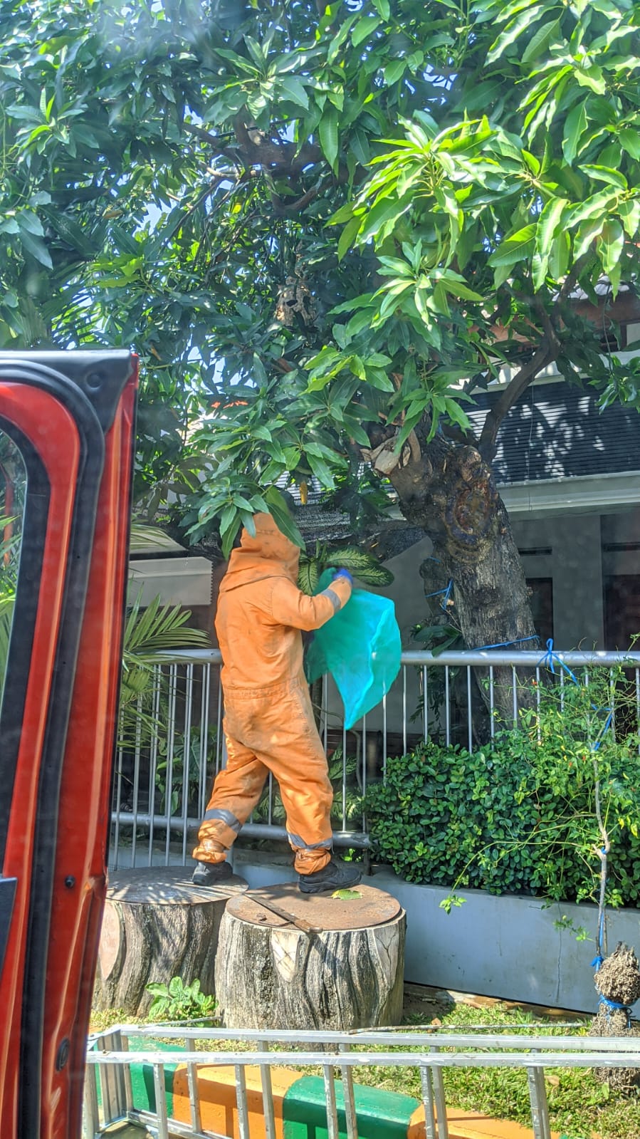 Tim Rescue BPBD Sidoarjo Melakukan Evakuasi Sarang Tawon Vespa di Perum Larangan Mega Asri, Kecamatan Candi