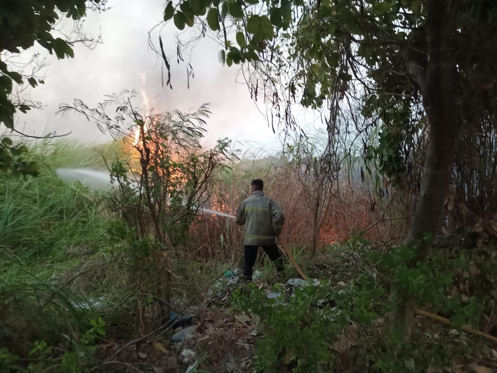 Kebakaran Lahan Kosong di Desa Pagerwojo, Kecamatan Buduran