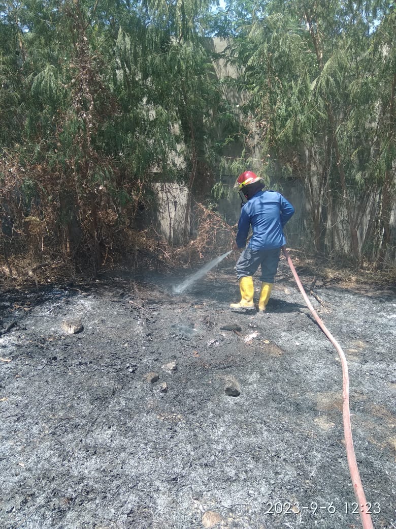 Kebakaran Lahan Kosong di Sepanjang, Kecamatan Taman