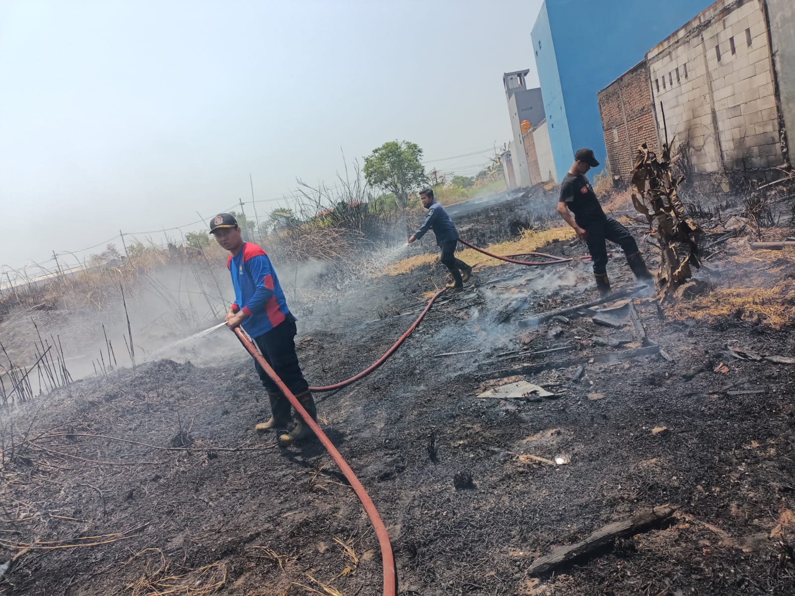 Kebakaran Lahan Kosong di Desa Gebang, Kecamatan Sidoarjo
