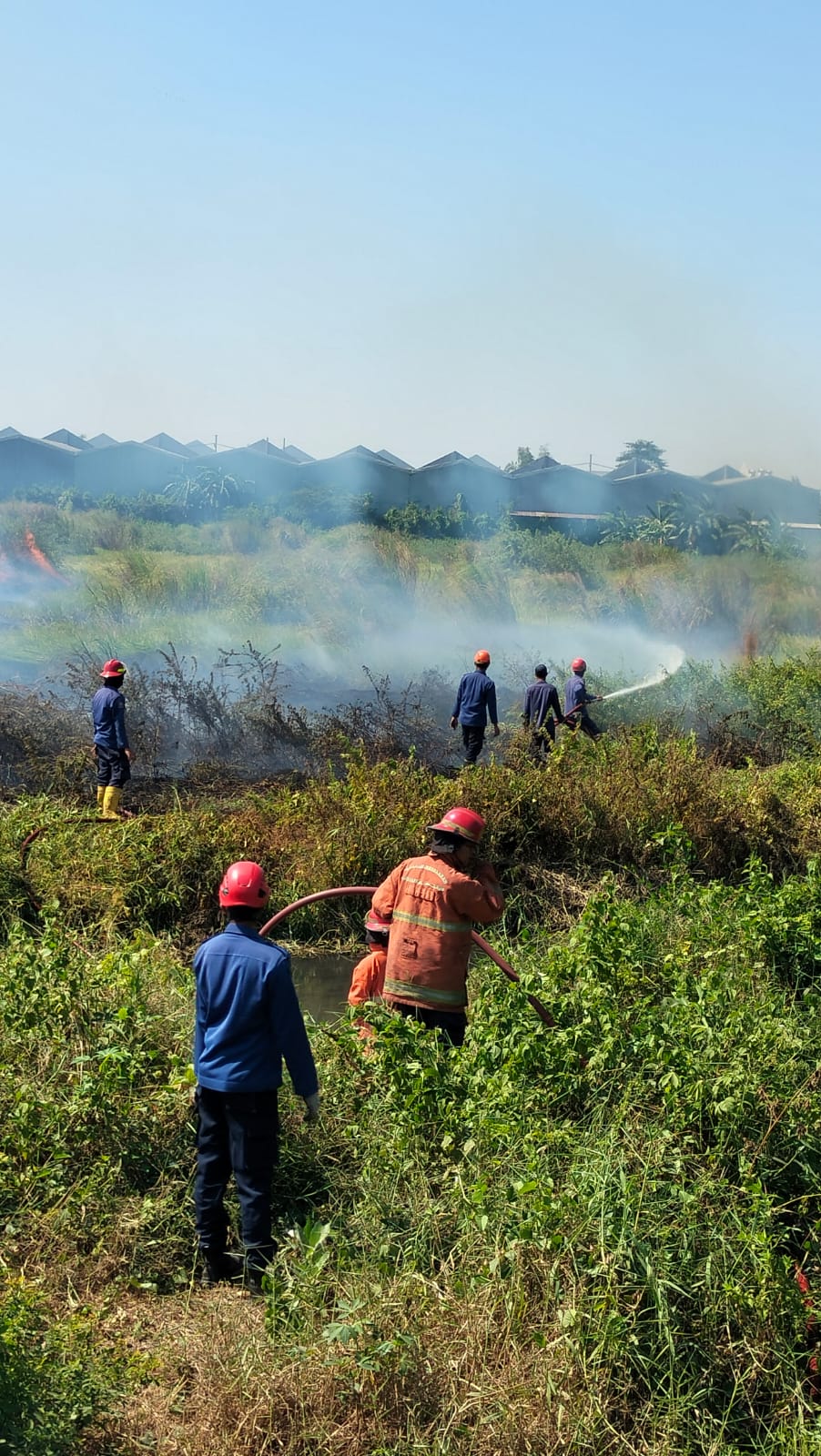 Kebakaran Lahan Kosong di Bypass Balongbendo, Kecamatan Balongbendo