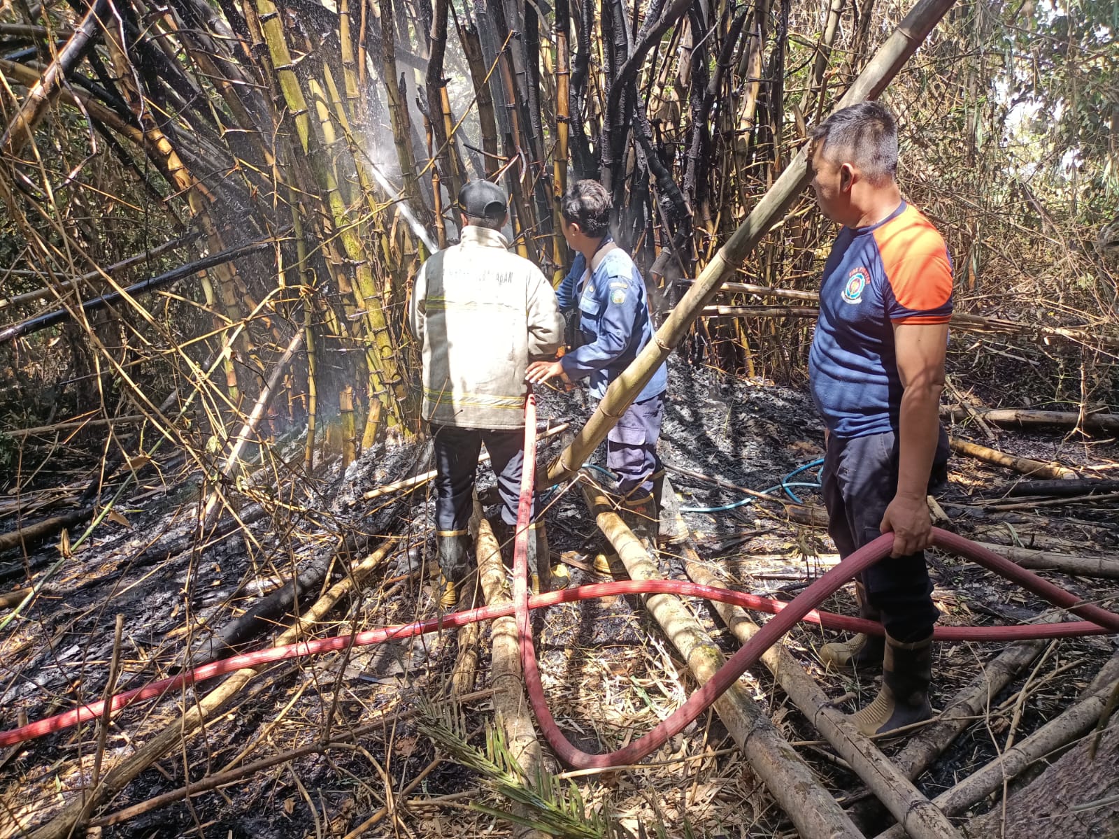 Kebakaran Lahan Bambu di Desa Bringinbendo, Kecamatan Taman