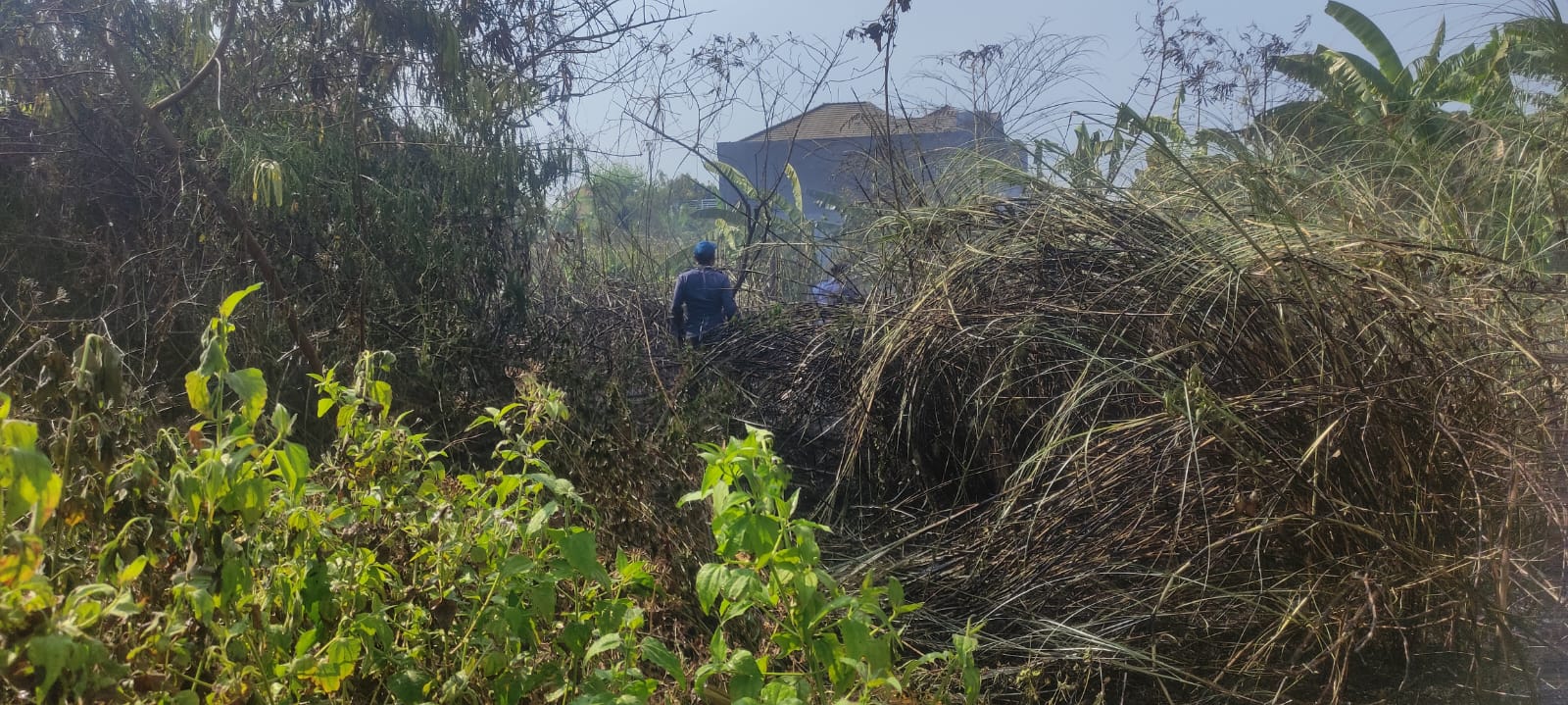 Kebakaran Lahan Kosong di Jl. Taruna Wage No.14, Desa Wage, Kecamatan Taman