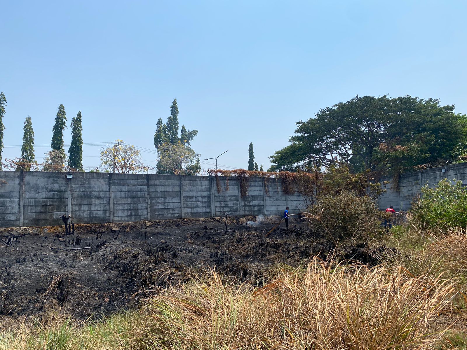Kebakaran Lahan Kosong di Belakang PT Kawan Lama, Desa Gebang, Kecamatan Sidoarjo