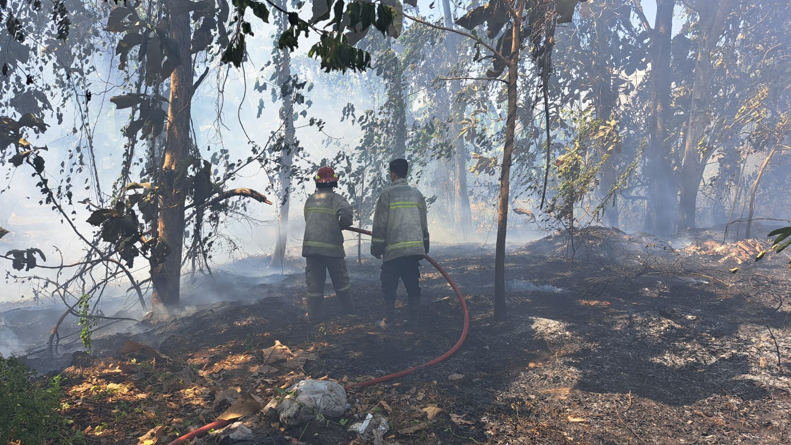 Kebakaran Lahan Kosong di Jl. Kh Achmad Dahlan, Desa Lebo, Kecamatan Sidoarjo