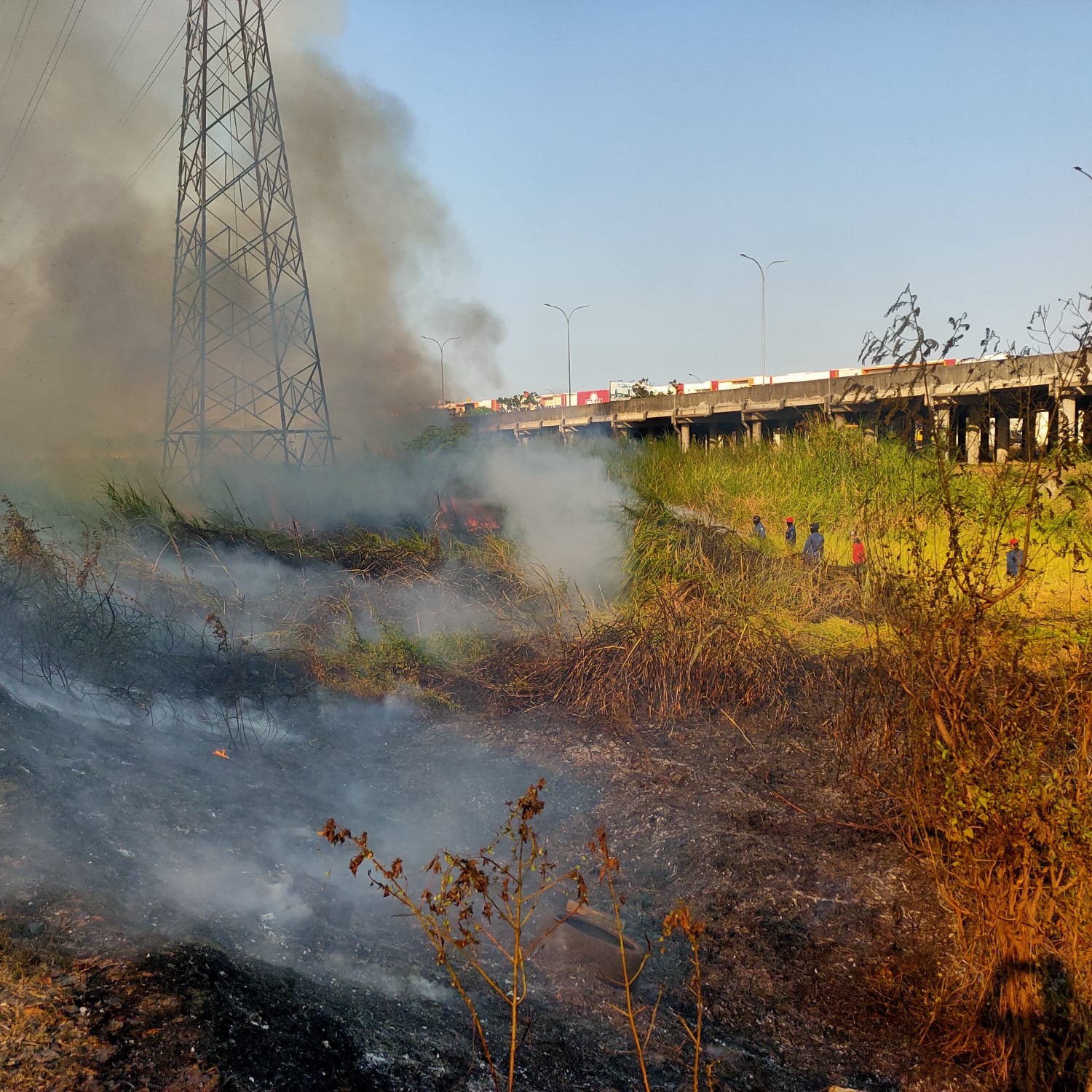 Kebakaran Lahan Kosong di Raya Arteri Pamotan, Kecamatan Porong