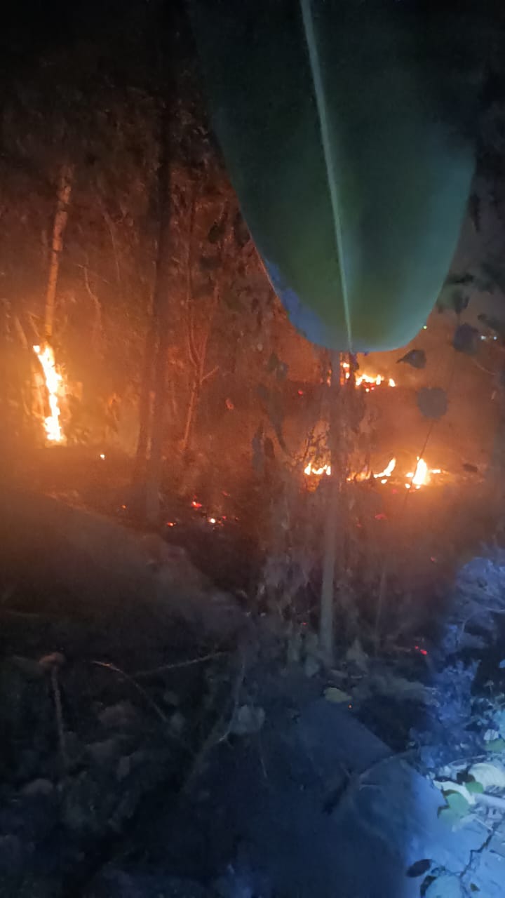 Kebakaran Lahan Kosong (Rumpun Bambu) di Desa Wonomlati, Kecamatan Krembung