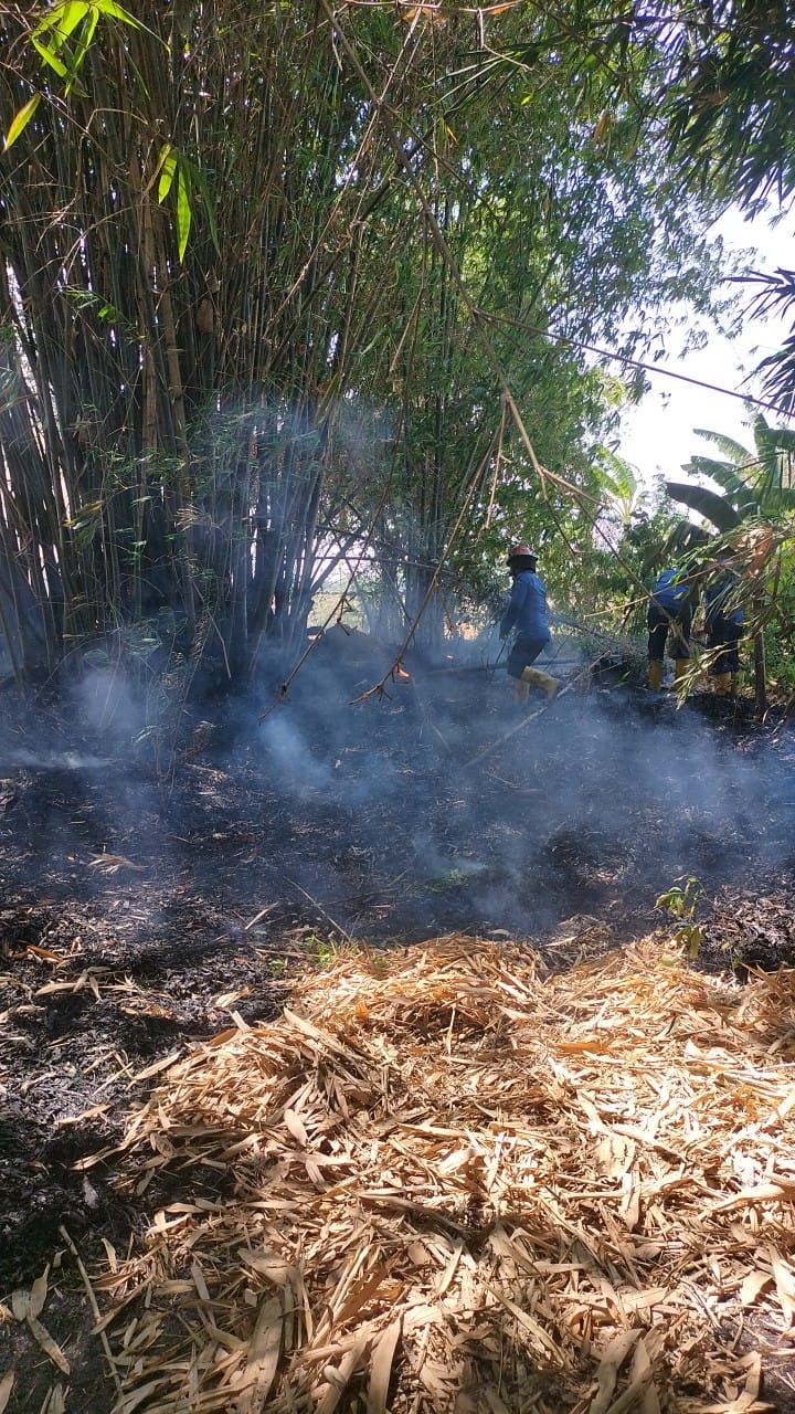 Kebakaran Lahan Kosong (Lahan Bambu) di Dusun Klinter, Desa Kedungbocok, Kecamatan Tarik