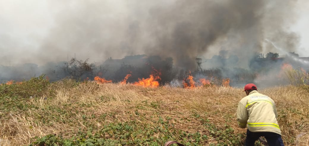 Kebakaran Lahan Kosong di Bypass Krian No.30 Kecamatan Krian