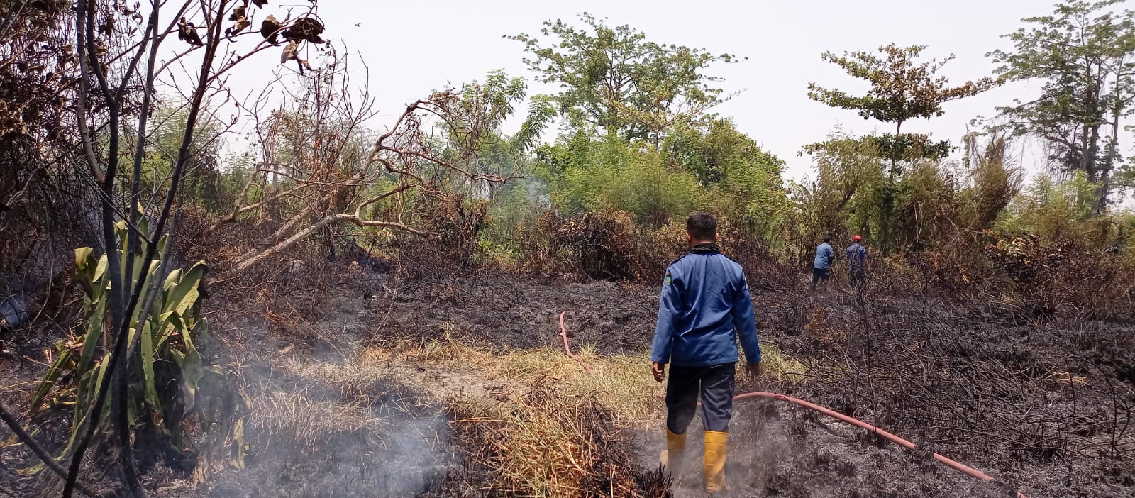 Kebakaran Lahan Kosong di Dusun Bangunsari Desa Kalisogo, Kecamatan Jabon