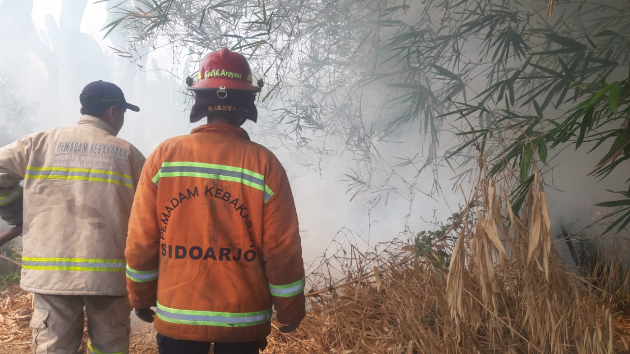 Kebakaran Lahan Kosong di Desa Penambangan, Kecamatan Balongbendo