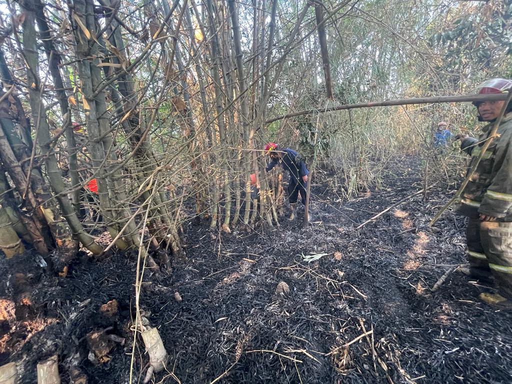 Kebakaran Lahan Kosong di Dusun Kemulan, Desa Lambangan, Kecamatan Wonoayu