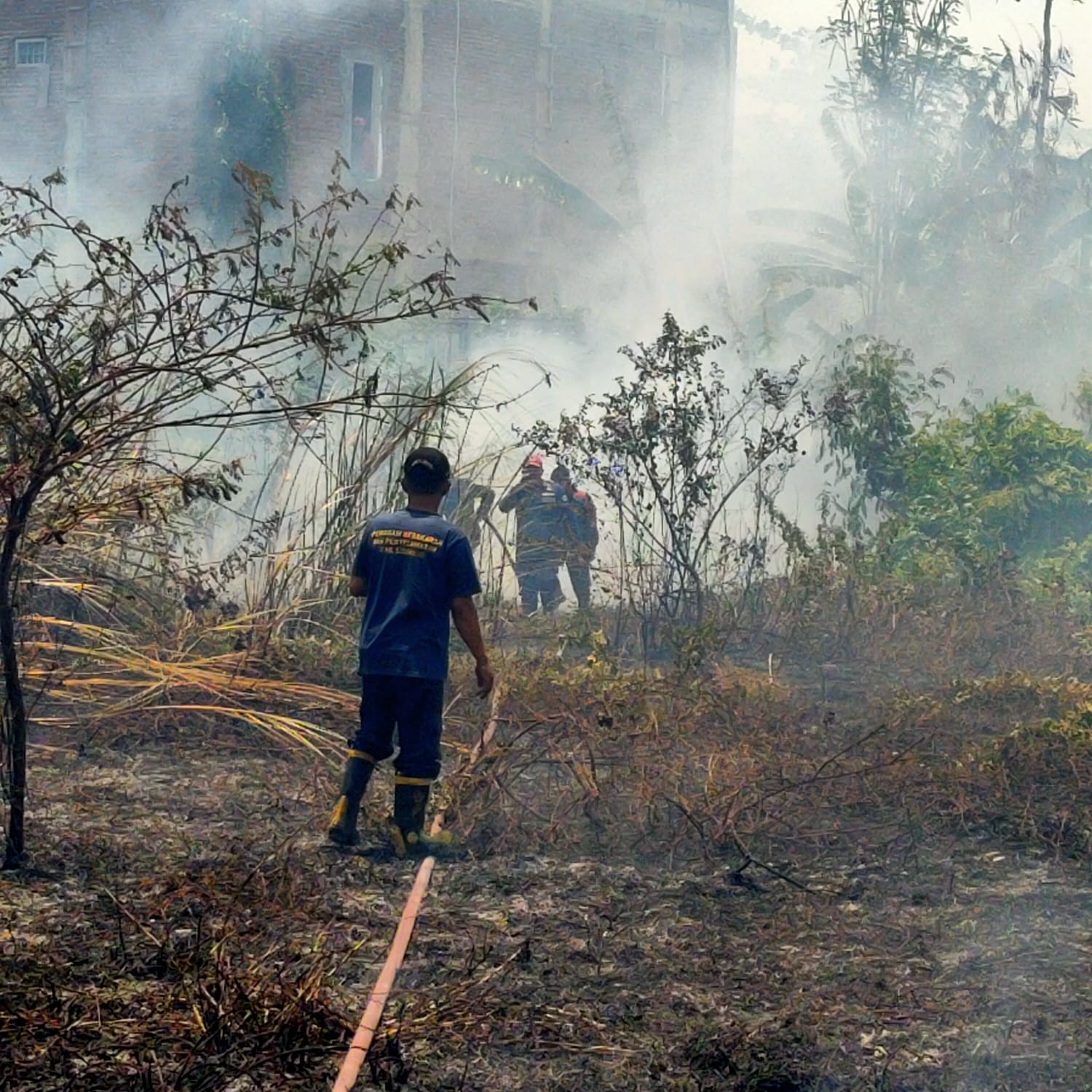 Kebakaran Lahan Kosong di Dusun Dadungan, Kelurahan Gebang, Kecamatan Sidoarjo