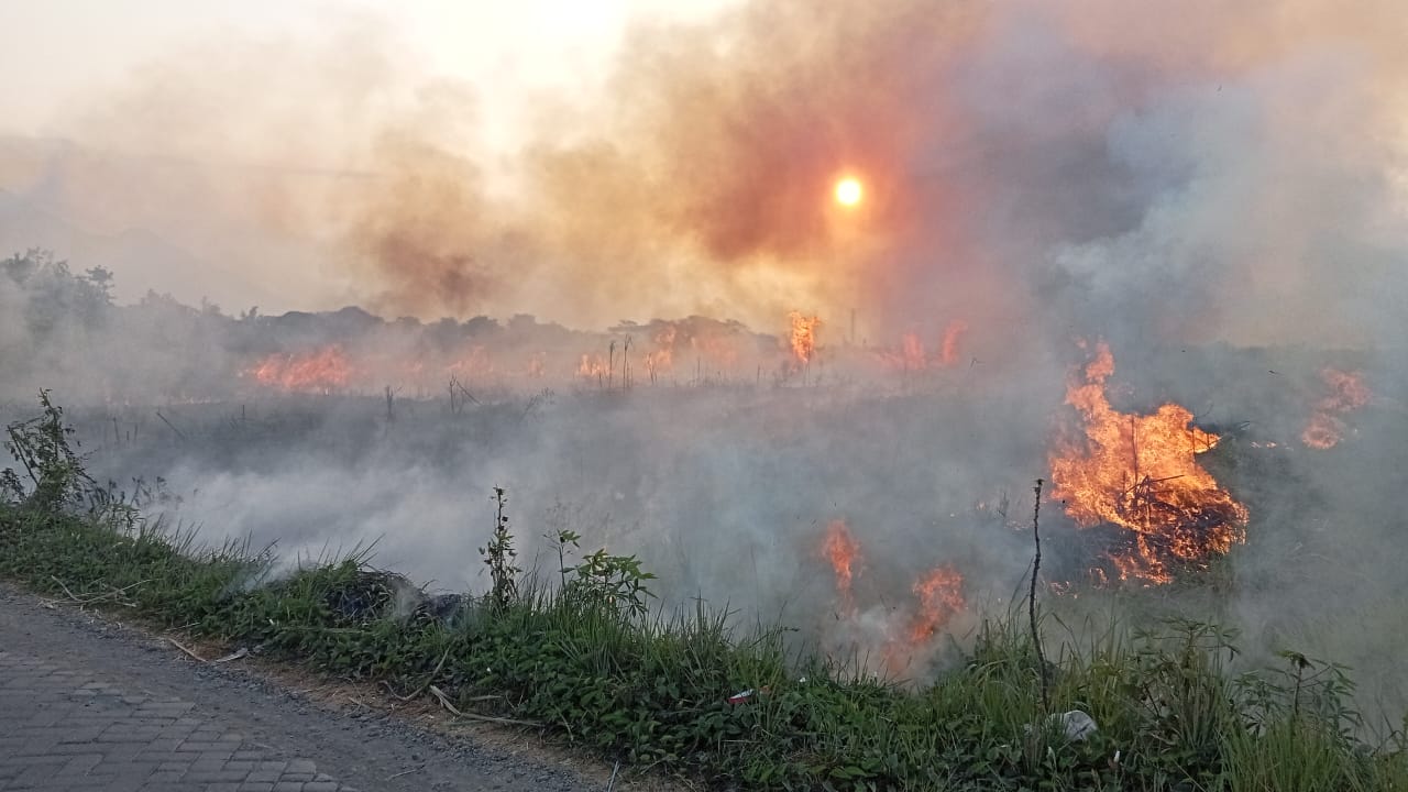 Kebakaran Lahan Kosong di Dusun Kesamben RT 18 RW 03 Desa Wunut, Kecamatan Porong