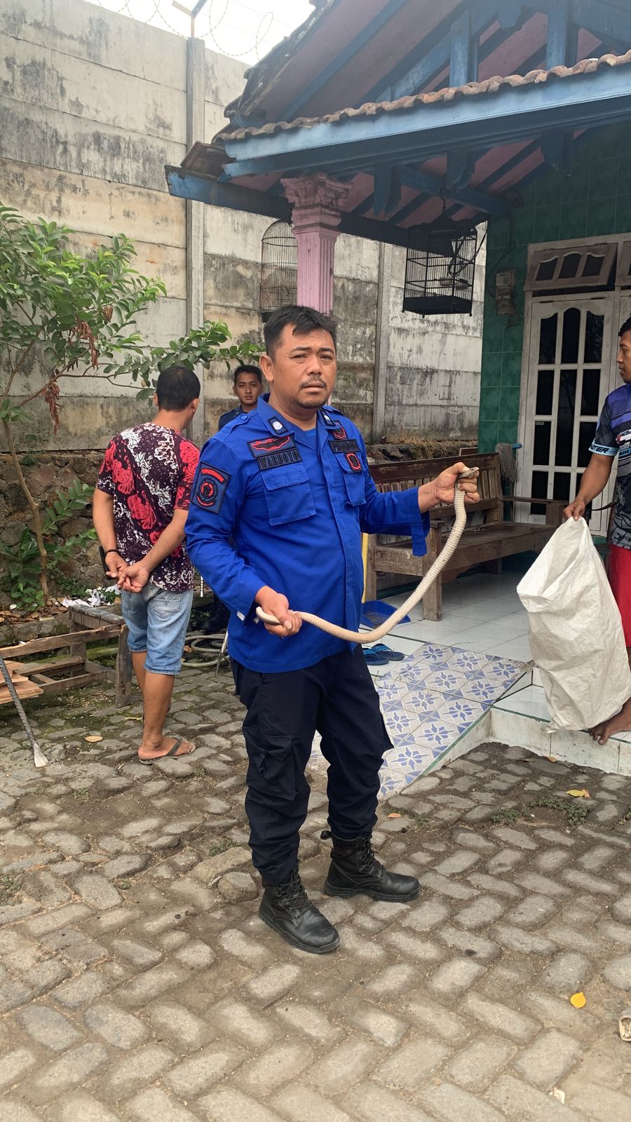 Tim Rescue BPBD Sidoarjo Melakukan Evakuasi Ular di Kelurahan Gebang, Kecamatan Sidoarjo