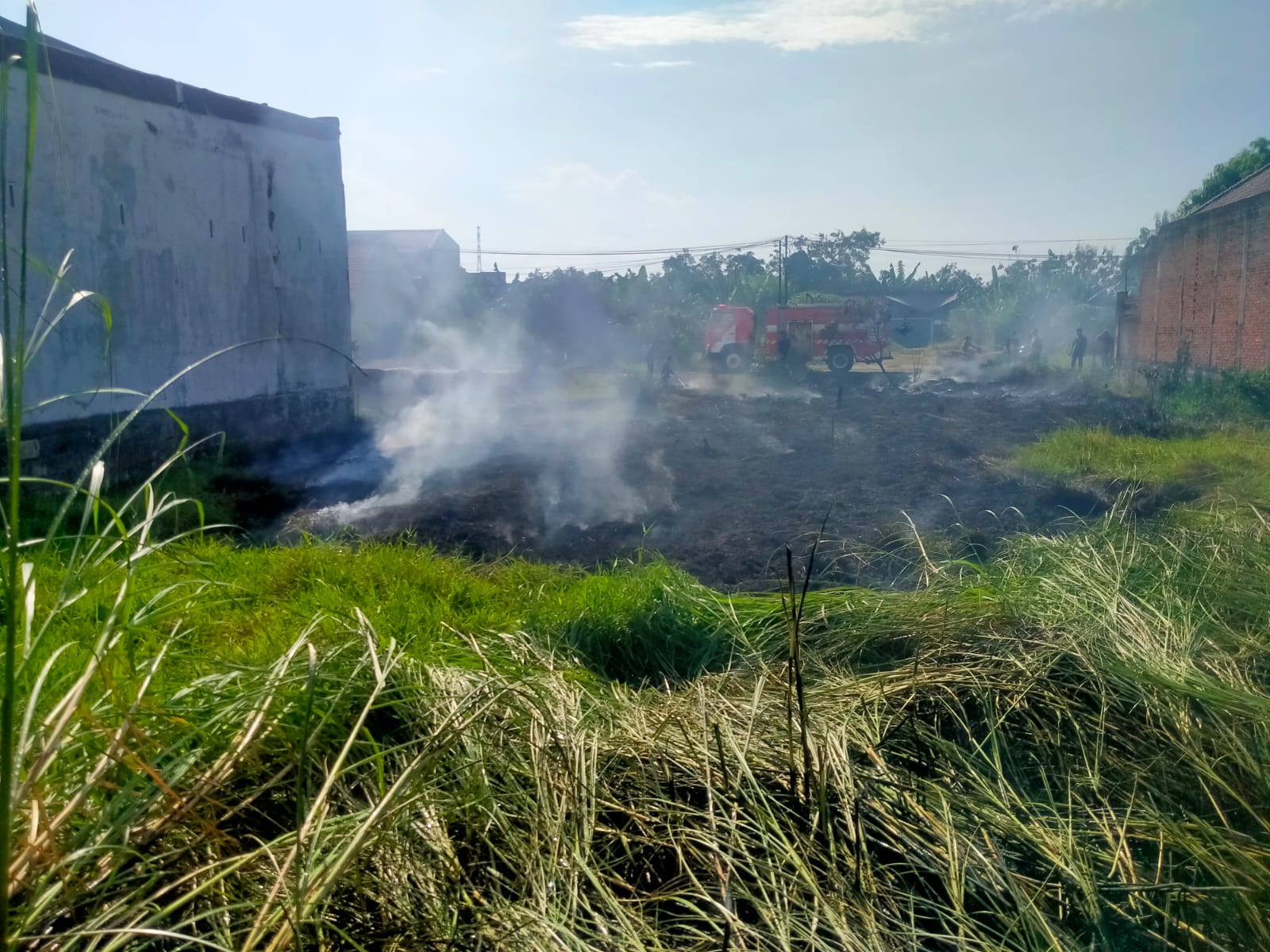 Kebakaran Lahan Kosong di Desa Bangah, Kecamatan Gedangan