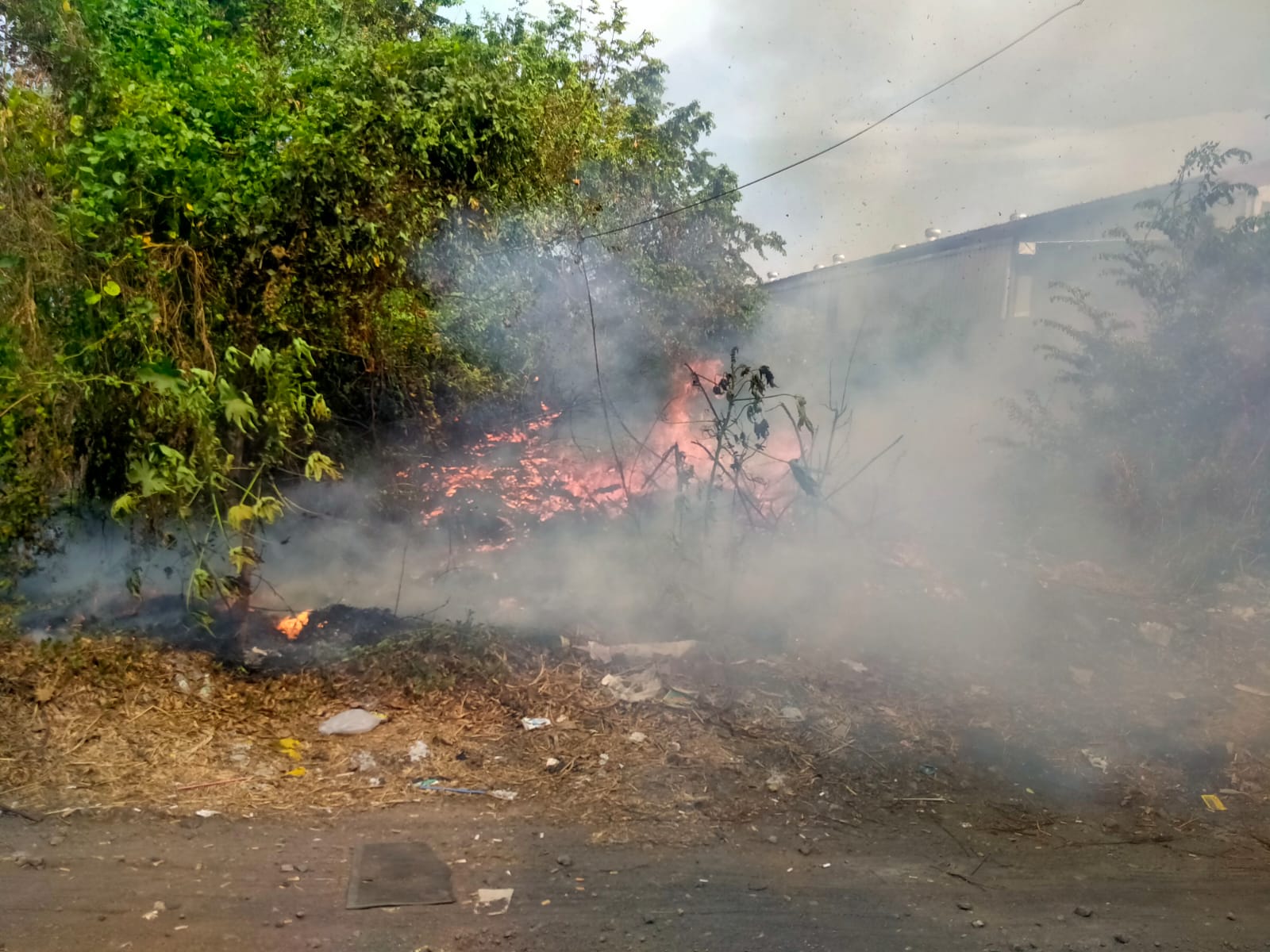 Kebakaran Lahan Kosong (Ilalang) di depan SDN Islam Terpadu EL Haq, Desa Banjarsari, Kecamatan Buduran