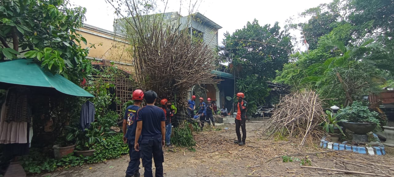 Tim Posko BPBD Sidoarjo Melakukan Evakuasi Pohon Tumbang di Perum Pondok Mutiara blok CG 9-10, Desa Banjarbendo, Kecamatan Sidoarjo