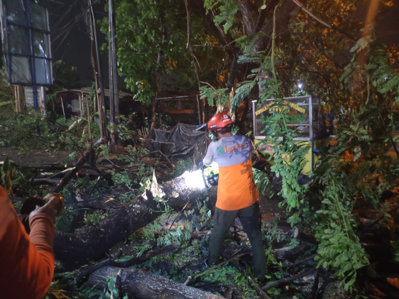 Tim Posko BPBD Sidoarjo melakukan evakuasi pohon tumbang di Jl. Cokrohadiwinoto, Desa Klurak, Kecamatan Candi