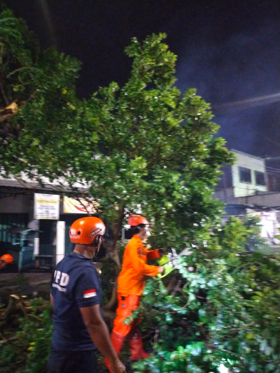 Tim Posko BPBD Sidoarjo melakukan evakuasi pohon tumbang di Jl. Jati Raya 40-30, Babatan, Jati, Kecamatan Sidoarjo